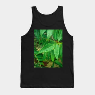 Water drops on leaves in morning Tank Top
